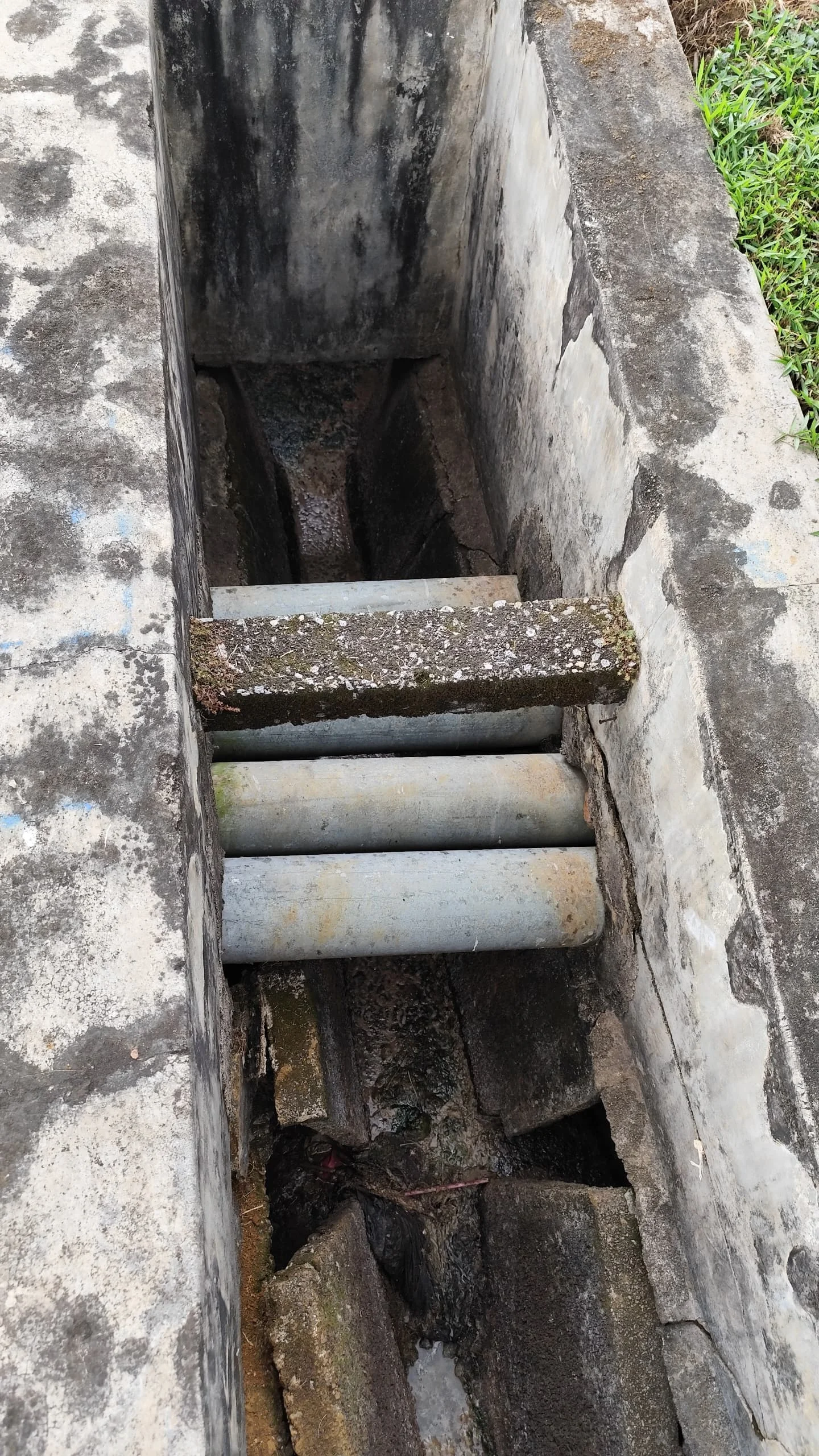 UMAP Activity - umap (5)